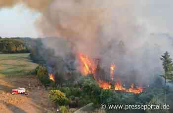 FW Sonsbeck: Aufräumarbeiten Waldbrand Labbeck