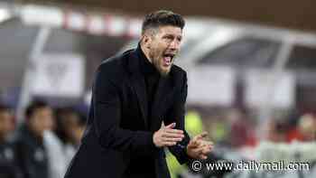 Young, foreign and full of adventure... new Scotland boss Sebastien Pocognoli is everything his predecessor wasn't