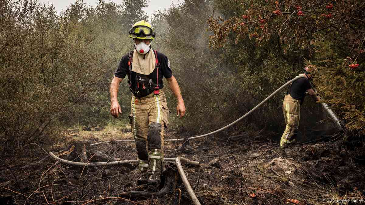 Waldbrand in Belgien bringt Einsatzkräfte an ihre Grenzen