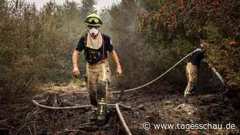 Waldbrand in Belgien bringt Einsatzkräfte an ihre Grenzen