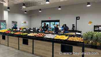 Feeding Tampa Bay says current need is higher than it was during COVID