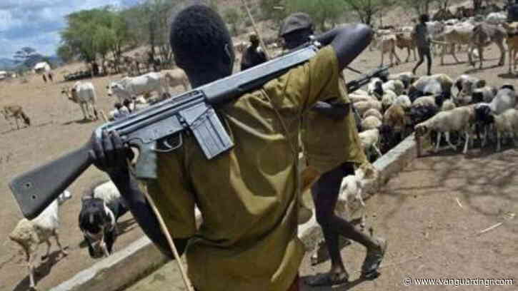 10 feared killed as suspected herdsmen attack Benue communities