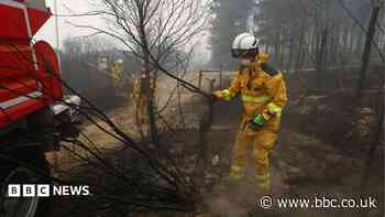 Belgian wildfire doubles in size on third day tearing through nature reserve