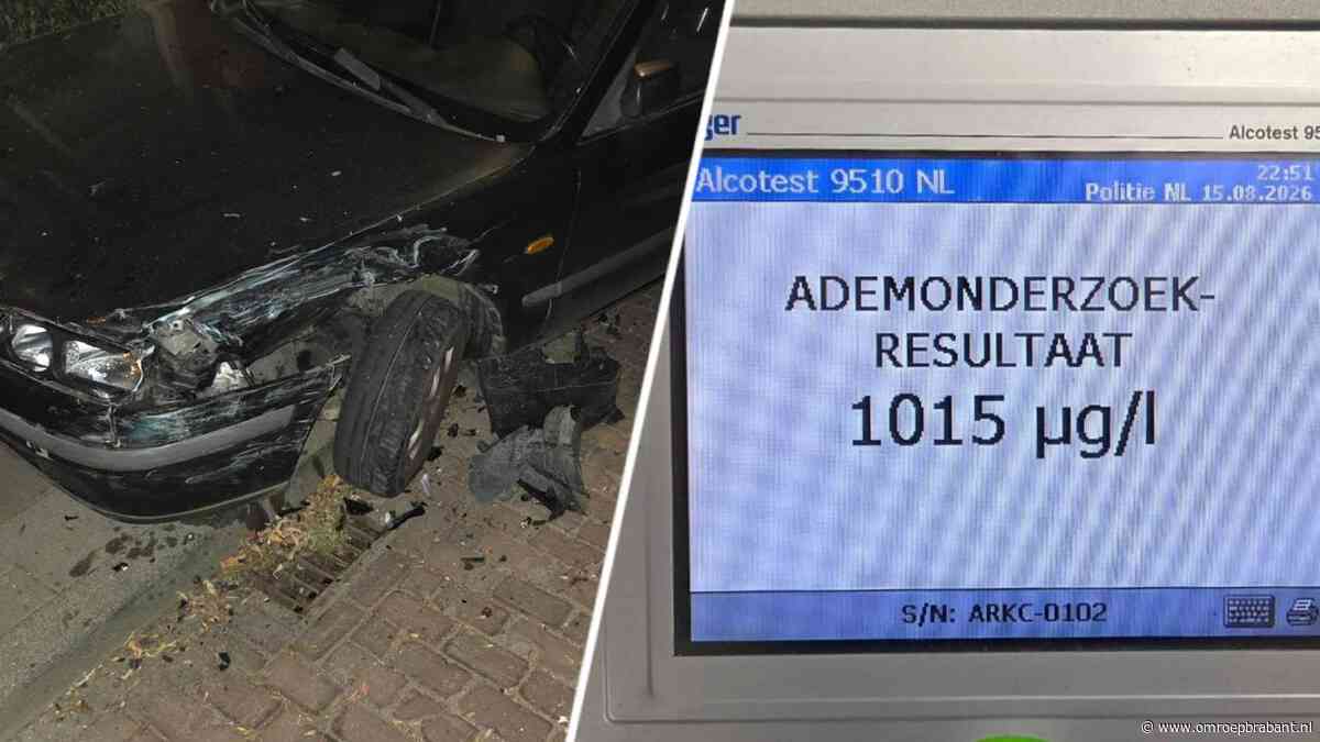 Dronken bestuurder (47) veroorzaakt flinke ravage in Standdaarbuiten