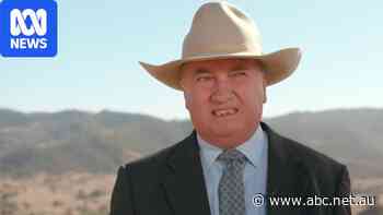 One Nation chasing the pink vote as Barnaby Joyce supports gay people