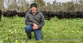 Three mob moves a day from 75km away: this farmer has been able to 'buy time'