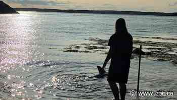 Meet Finn, the 15-year-old who saved a shark in New Brunswick