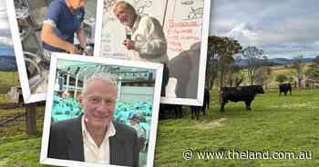 Vets' warning: how to protect your bull's fertility from hidden paddock dangers