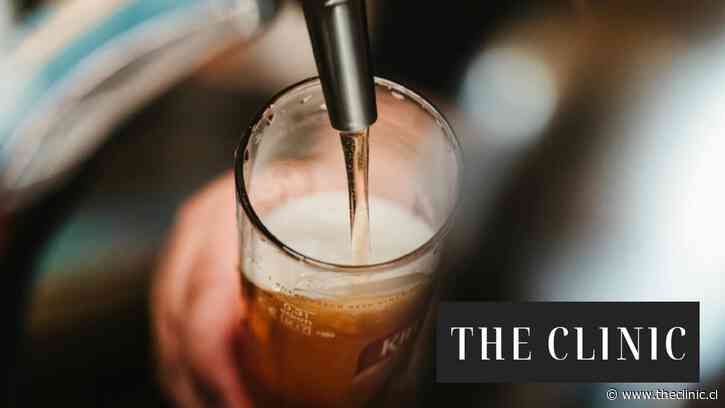 Más aroma y mejor fermentación: cómo la biotecnología chilena reinventa la receta de la cerveza lager