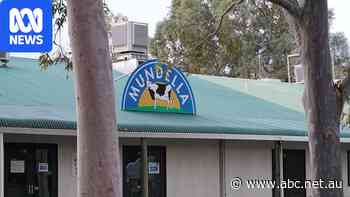 Director faces investigations following Mundella collapse