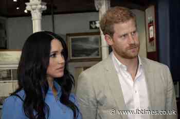 Meghan Markle, Prince Harry Face 'Professional Liability' Over 'Fractured' Royal Relationship, Expert Claims