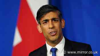 Rishi Sunak and Nigel Farage earn huge sums on top of MP salary as campaigners demand ban