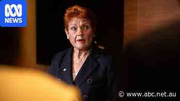 Live: One Nation wants Australians hit by cost of living to have early super access