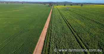 Glenelg well recognised as a premium cropping property | Photos