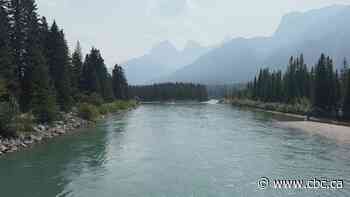 Body found in river near Canmore, RCMP investigating