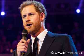 Prince Harry Diverts Princess Diana Memorial Fund Cash From Sentebale to Elephant Charity After Bitter Fallout