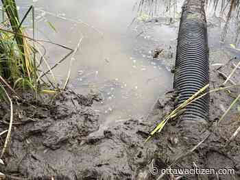 Fire crews free woman stuck waist-deep in mud at Rebecca Pond