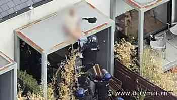 Moment riot police pull wanted man's trousers off as they haul him off a roof - before he tumbles on top of them