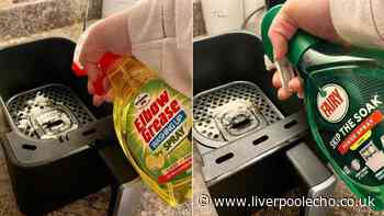 I sprayed my air fryer with Fairy Liquid and Elbow Grease – 1 removed more stubborn grease