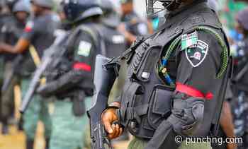 Osun poll: 295 suspects arrested – Police