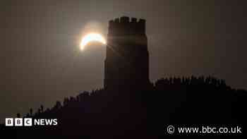 In pictures: Eclipse, elephants and wedding cow