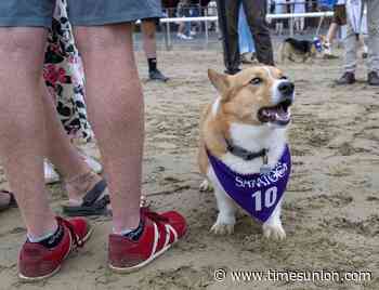 Kona leads wire-to-wire to capture 2026 Corgi Cup at Saratoga