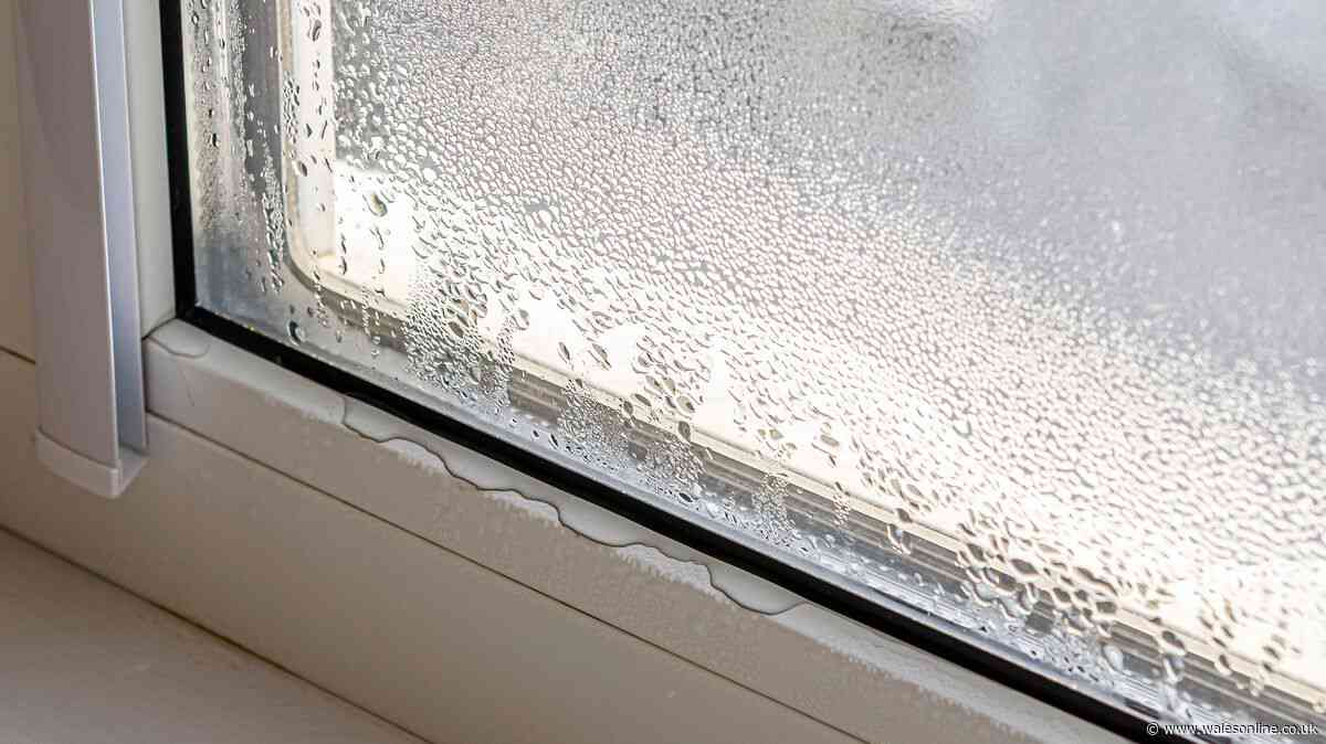 Bathroom windows will be clear of mould if you wipe over 1 item that keeps condensation at bay