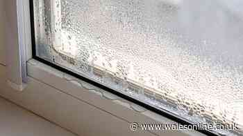 Bathroom windows will be clear of mould if you wipe over 1 item that keeps condensation at bay
