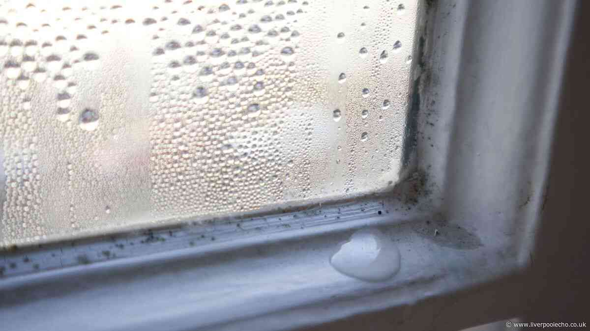 Bathroom windows will be free of mould and condensation when wiped with 1 kitchen staple