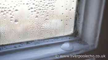 Bathroom windows will be free of mould and condensation when wiped with 1 kitchen staple