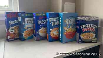 I compared Frosties to Aldi, Lidl, Morrisons, Asda and Tesco versions – one was sweeter and crunchier