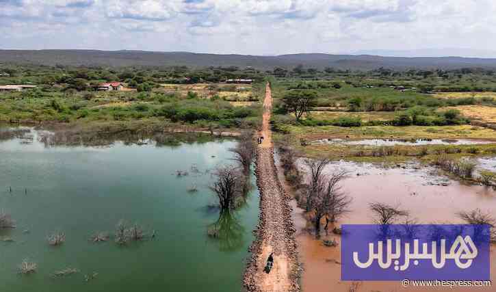 دراسة علمية جديدة تعيد ترتيب الفرضيات حول نشأة الحياة على الأرض