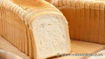 Bread will stay mould-free for longer if kept in your kitchen with 1 unexpected ingredient