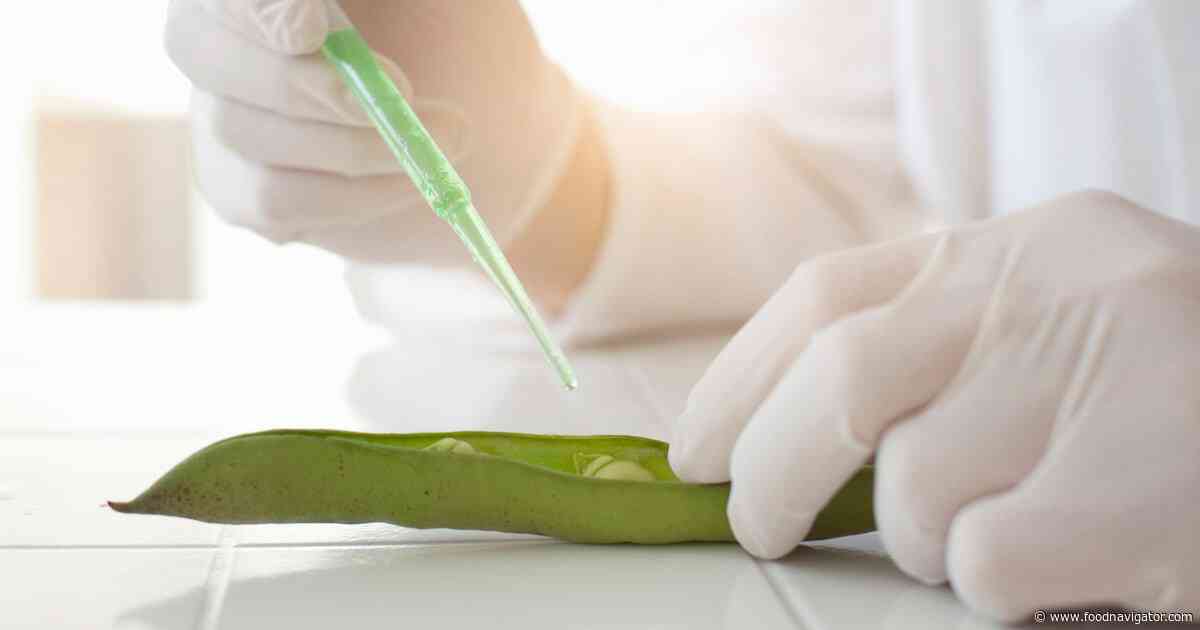 China puts alternative proteins at heart of future food strategy