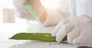 China puts alternative proteins at heart of future food strategy