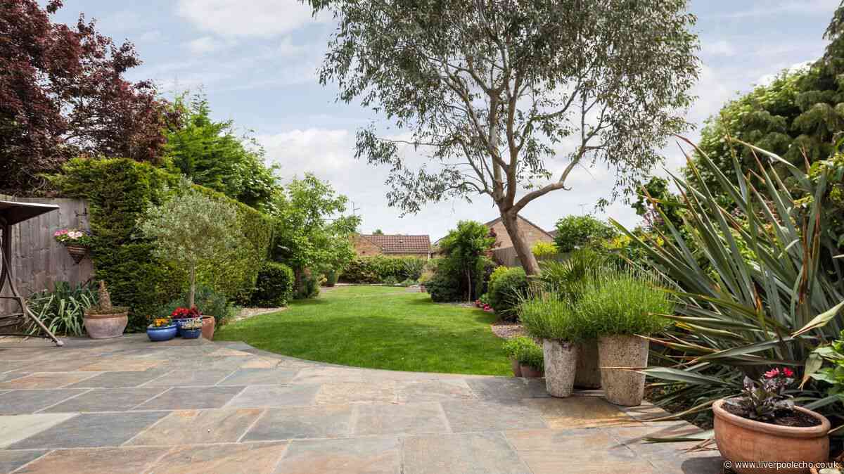 Ditch pressure washers to clean patios for 1 cheap Home Bargains item that works better