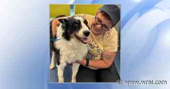 Homeward bound: Dog reunited with owner at Greensboro shelter after disappearing in Oklahoma