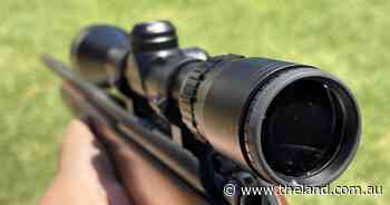 NSW signs onto gun reform described as 'patchwork of inconsistencies'