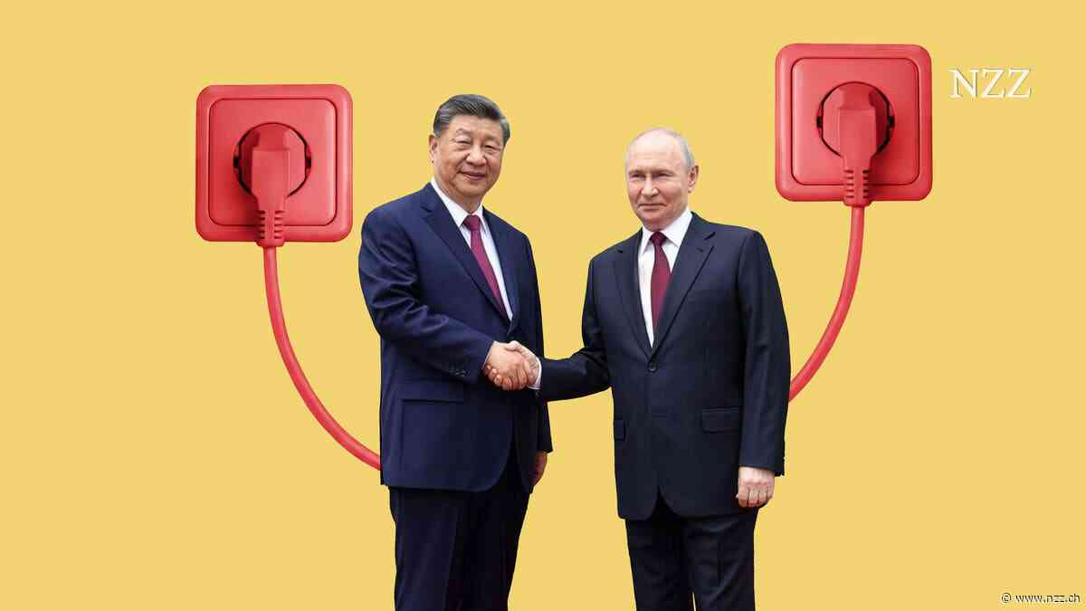 Putin und Xi träumen vom ewigen Leben, in den USA will Bryan Johnson den Tod besiegen: über das Streben nach Unsterblichkeit