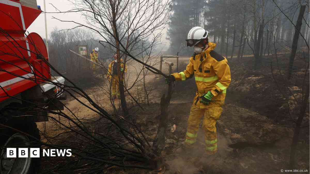 Belgian wildfire doubles in size on third day tearing through nature reserve