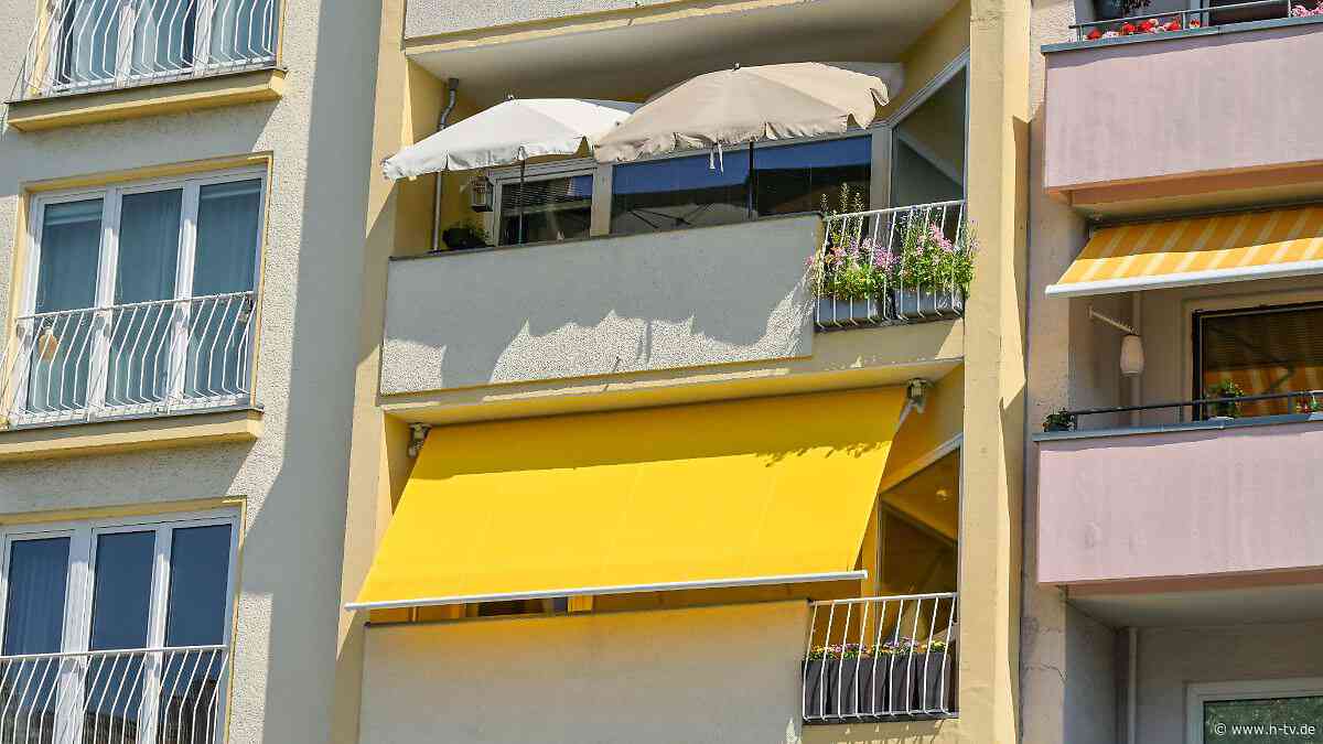 "Nicht gewappnet für die Hitze": Umweltverbände wollen Bund für Klima-Maßnahmen zur Kasse bitten