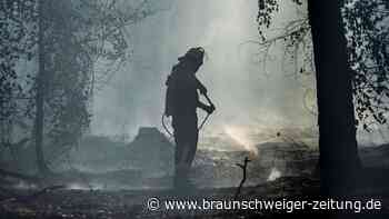 Waldbrand im Hohen Venn: Lage stabilisiert sich dank leichtem Regen