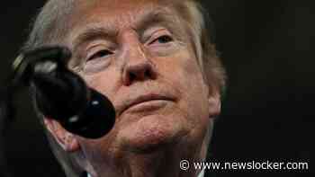 Ontevreden Trump schaalt legeroefeningen met Zuid-Korea aanzienlijk terug: ’Ongepast en vijandig’