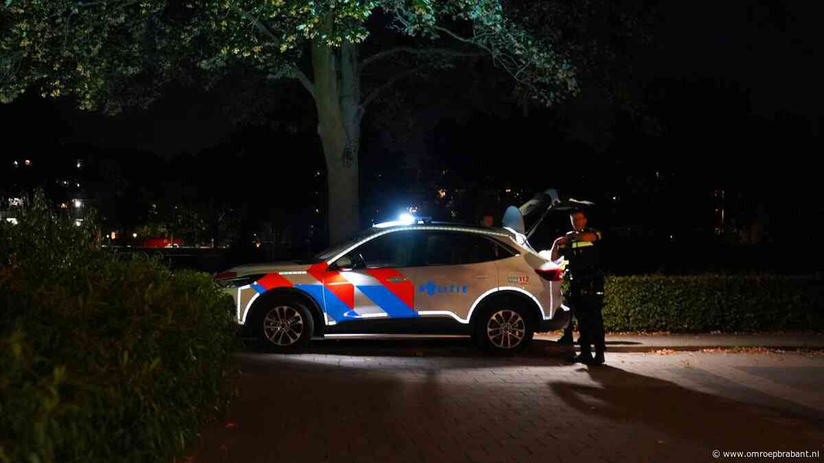 Politie rukt met meerdere eenheden uit na melding schoten in park Den Bosch