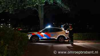 Politie rukt met meerdere eenheden uit na melding schoten in park Den Bosch
