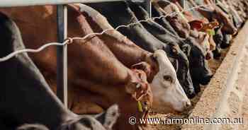 Beef asset demand drives ahead with $20 million-plus Vandyke Feedlot deal