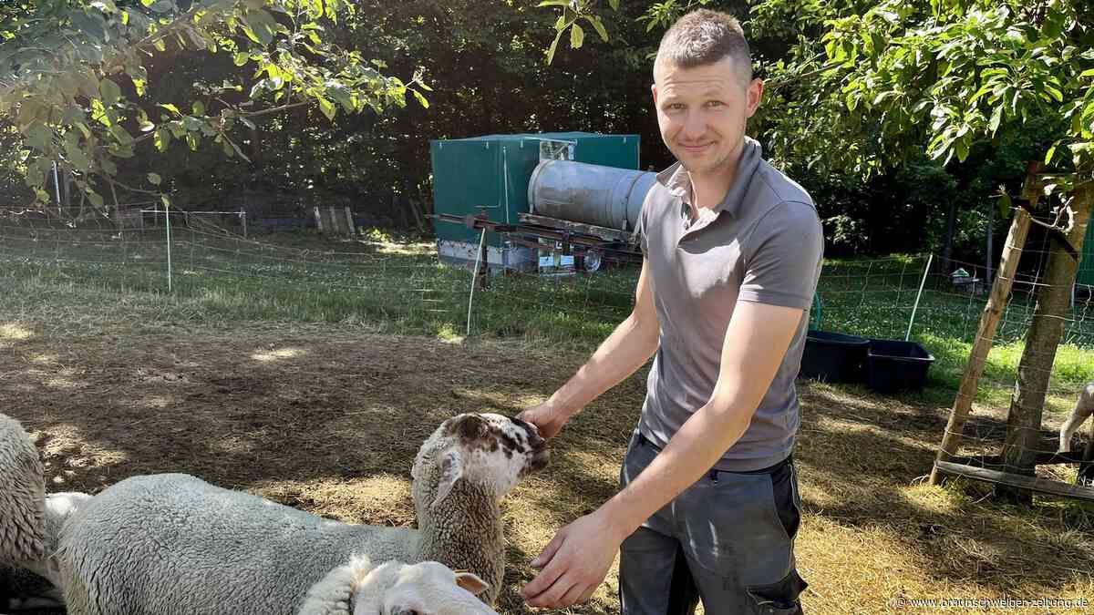 Er ist Wolfenbüttels Schafzüchter in vierter Generation – doch die Zukunft ist ungewiss