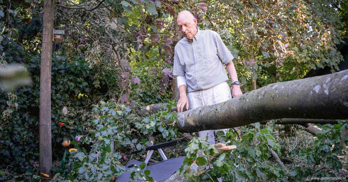 Peter ontsnapt aan dood als dikke tak in zijn tuin valt: ‘Ik zag de hele meute naar beneden komen’