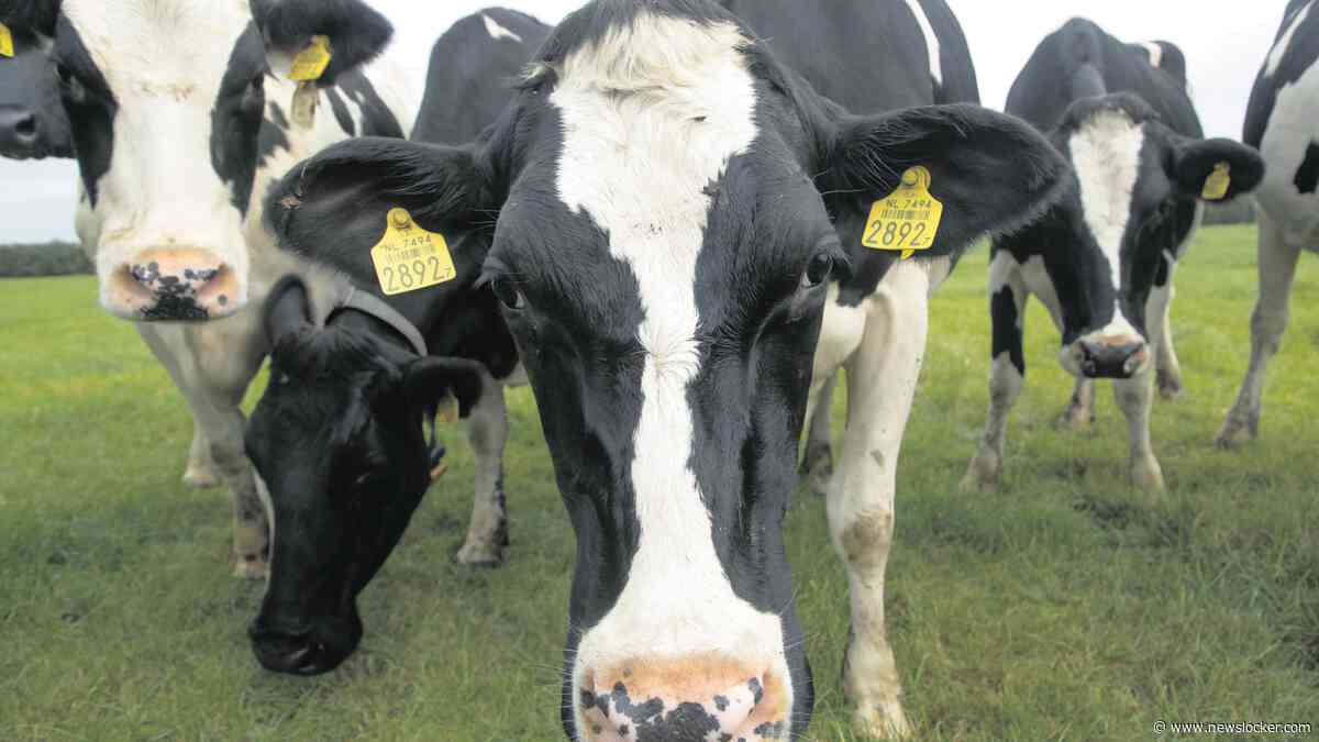 Winstgevendheid landbouw onder druk door lage prijzen