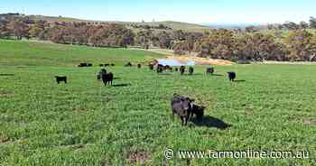 Prized 156ha Strathalbyn grazing farm listed for more than $4.5 million